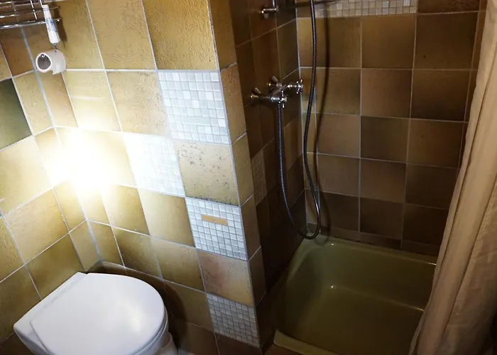 Doktors Hus Oldenswort